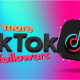 Get More Tiktok Follower